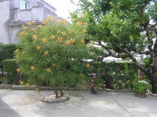 Apartment Supetarska Draga - Donja 15999b - Rab - 3