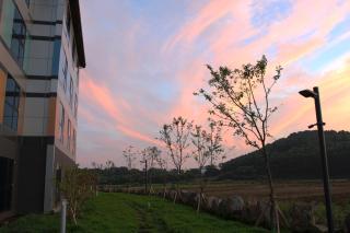 Jeju Stay in Sungsan - Seogwipo - 3