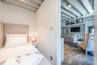 Alma Lofts - 1