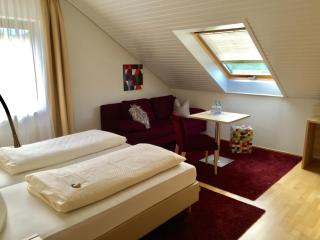 Haus Mechthild Sindelfingen-Maichingen Self Check-In - Sindelfingen - 4