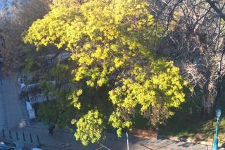 Depto frente a plaza independencia - Mendoza - 1