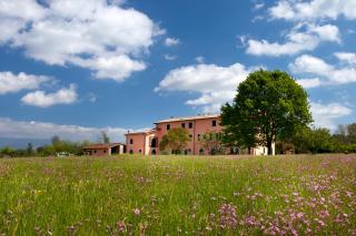 Tenuta San Giovanni Lucca - Lucques - 2