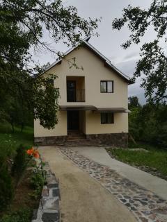 Casa Fluțar - Moisei - 2