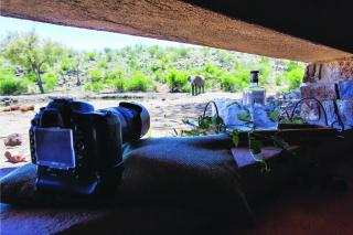 Tuningi Safari Lodge - Madikwe Game Reserve - 9