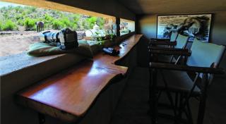 Tuningi Safari Lodge - Madikwe Game Reserve - 8