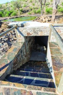 Tuningi Safari Lodge - Madikwe Game Reserve - 6
