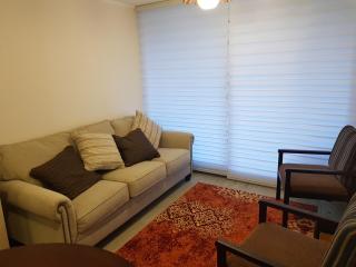 Condominio Parque Payllahue - Pucón - 1