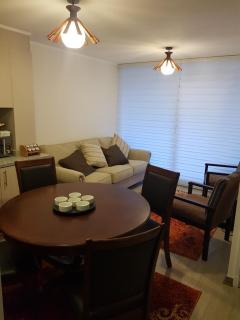 Condominio Parque Payllahue - Pucón - 4