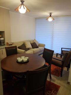 Condominio Parque Payllahue - Pucón - 3