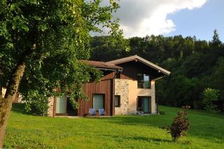 Quader nidi nel verde - 5