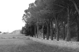 Giardino della Moscatella - Altamura - 2