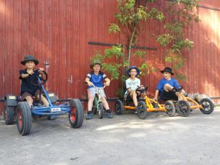 Ferienhof Neudeck - 4