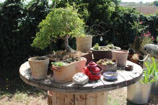 Giardino della Moscatella - Altamura - 4