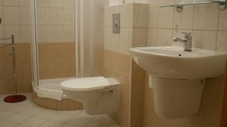 Hotel Bílý Koníček - Třeboň - 5