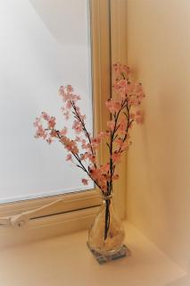 Bright modern house beside Snowdonia - 4