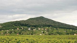 Szende Apartman - Villány - 1