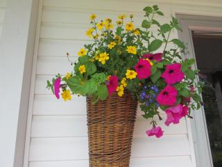 Gîte Les Acres Tranquilles B&B - 8