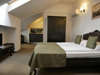 Sibiu City Center Apartments - 9