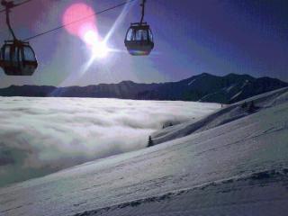 Landgasthof Dorferwirt - 9