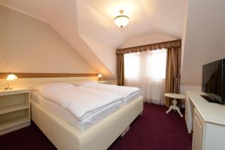 Hotel Gold Chotoviny - Chotoviny - 6