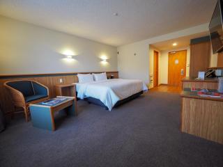 Swiss-Belresort and Villas Coronet Peak - Queenstown - 7