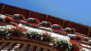 Landgasthof Dorferwirt - Oberau - 8
