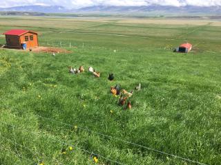 Karuna Guesthouse - 2