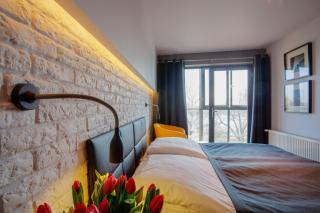 Hotel Czarna Róża - Toruń - 7