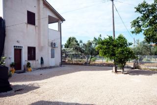 B&B Tra gli ulivi - 1