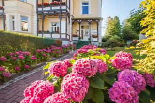 Hotel Rosenau - Bad Harzburg - 4