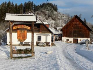 Ferienhaus am Reitbauernhof Luckyranch - Mellach - 7