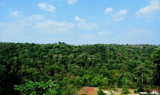 Shreegandha Homestay - Somvārpet - 7