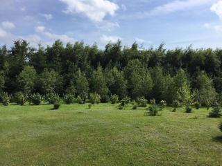 Agroturystyka 'Milena' - Ostropole - 6