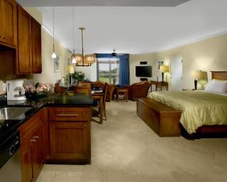 Divi Village Golf and Beach Resort - Palm-Eagle Beach - 1