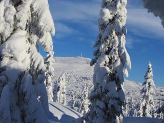 Koselig familiehytte sentralt på Skeikampen til leie - 6