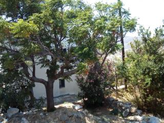 ArtHome1 - Panormos - 6