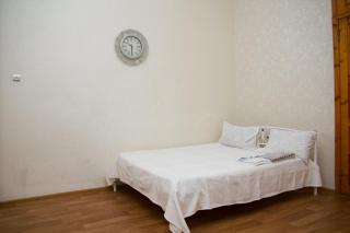 Apartment on Zhukovskogo - 6