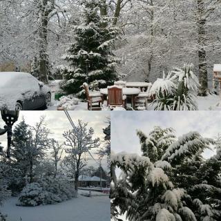 Ravenscourt House, Guest House - 6