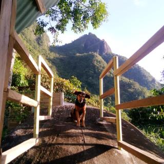 Monte Mágico - 2