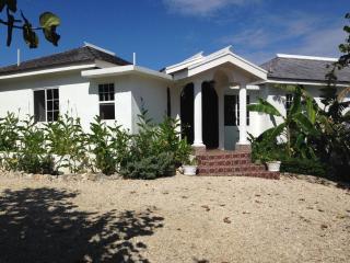 Forever Cottage - Robins Bay - 6