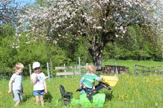 Allgäu Ferienhof Schönberger - Argenbühl - 6
