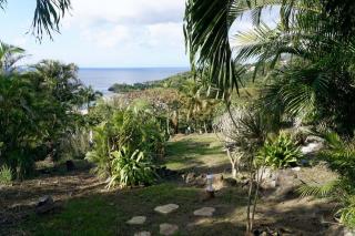 karureve - Deshaies - 5