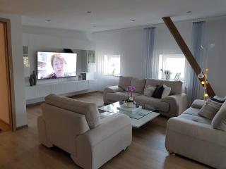 Luksusowe Apartamenty w Centrum Szczecina - Estetino - 9