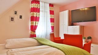 Hotel Restaurant Rebstock - Oppenau - 7