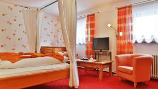 Hotel Restaurant Rebstock - Oppenau - 6
