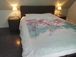 The Cosy Hill - Poperinge - 8