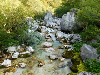 Apartment Vista - Tolmin - 9