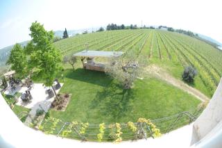 Agriturismo Sol De Montalto - Rivoli Veronese - 8