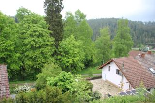 Ferienwohnung Stern - Friedenweiler - 1