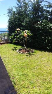 Paraiso das Flores - 1